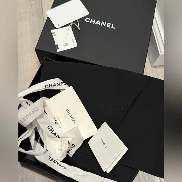 CHANEL BLACK MINI HOBO MESH POUCH RUNWAY RARE NEW - Picture 13 of 13